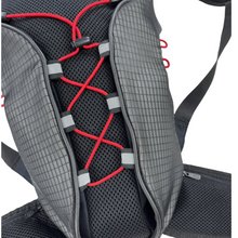 Load image into Gallery viewer, 2000s Nike expandable grid day pack
